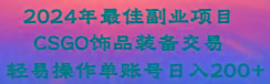 2024年最佳副业项目 CSGO饰品装备交易 轻易操作单账号日入200+-天韵资源网
