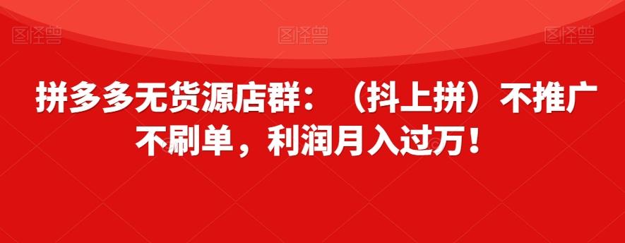 拼多多无货源店群：（抖上拼）不推广不刷单，利润月入过万！【揭秘】-天韵资源网