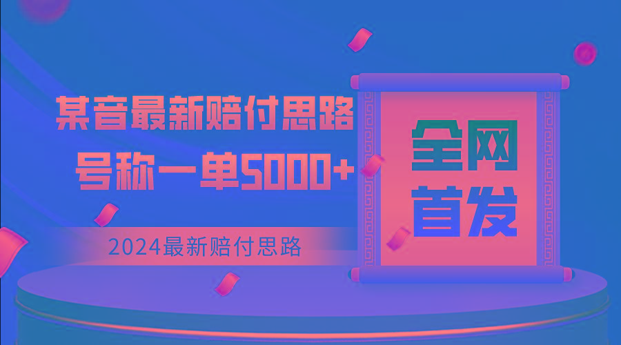 全网首发，2024最新某音赔付思路，号称一单收益5000+-天韵资源网