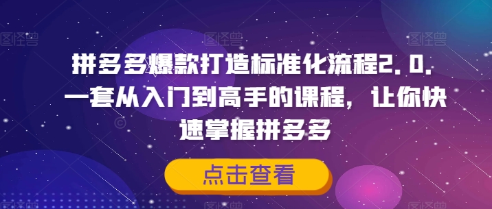 拼多多爆款打造标准化流程2.0，一套从入门到高手的课程，让你快速掌握拼多多-天韵资源网