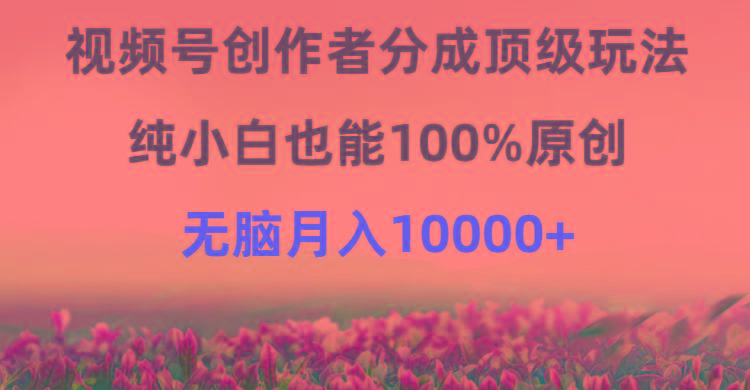 (9608期)视频号创作者分成顶级玩法，纯小白也能100%原创，无脑月入10000+-天韵资源网