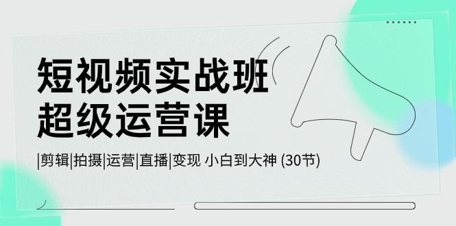 短视频实战班超级运营课 |剪辑|拍摄|运营|直播|变现 小白到大神 (30节)-天韵资源网
