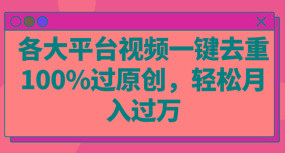 各大平台视频一键去重，100%过原创，轻松月入过万！-天韵资源网