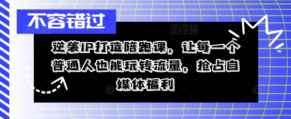 逆袭IP打造陪跑课，让每一个普通人也能玩转流量，抢占自媒体福利-天韵资源网