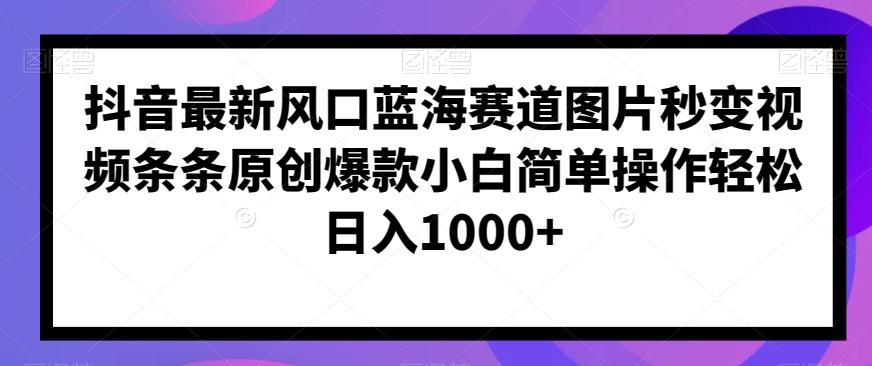 抖音最新风口蓝海赛道图片秒变视频条条原创爆款小白简单操作轻松日入1000+-天韵资源网