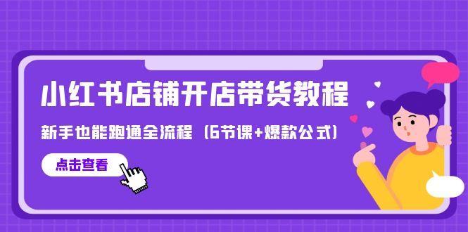 (9883期)最新小红书店铺开店带货教程，新手也能跑通全流程(6节课+爆款公式)-天韵资源网