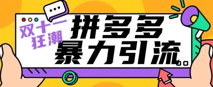 【首发】双十一拼多多暴力引流，日引300+微信-天韵资源网