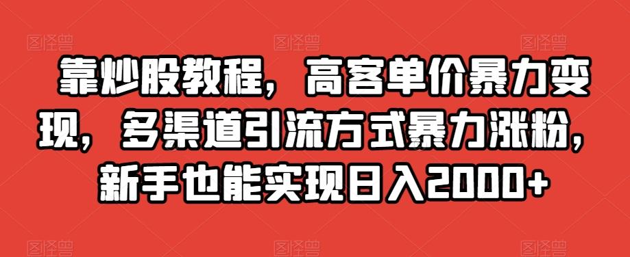 靠炒股教程，高客单价暴力变现，多渠道引流方式暴力涨粉，新手也能实现日入2000+【揭秘】-天韵资源网