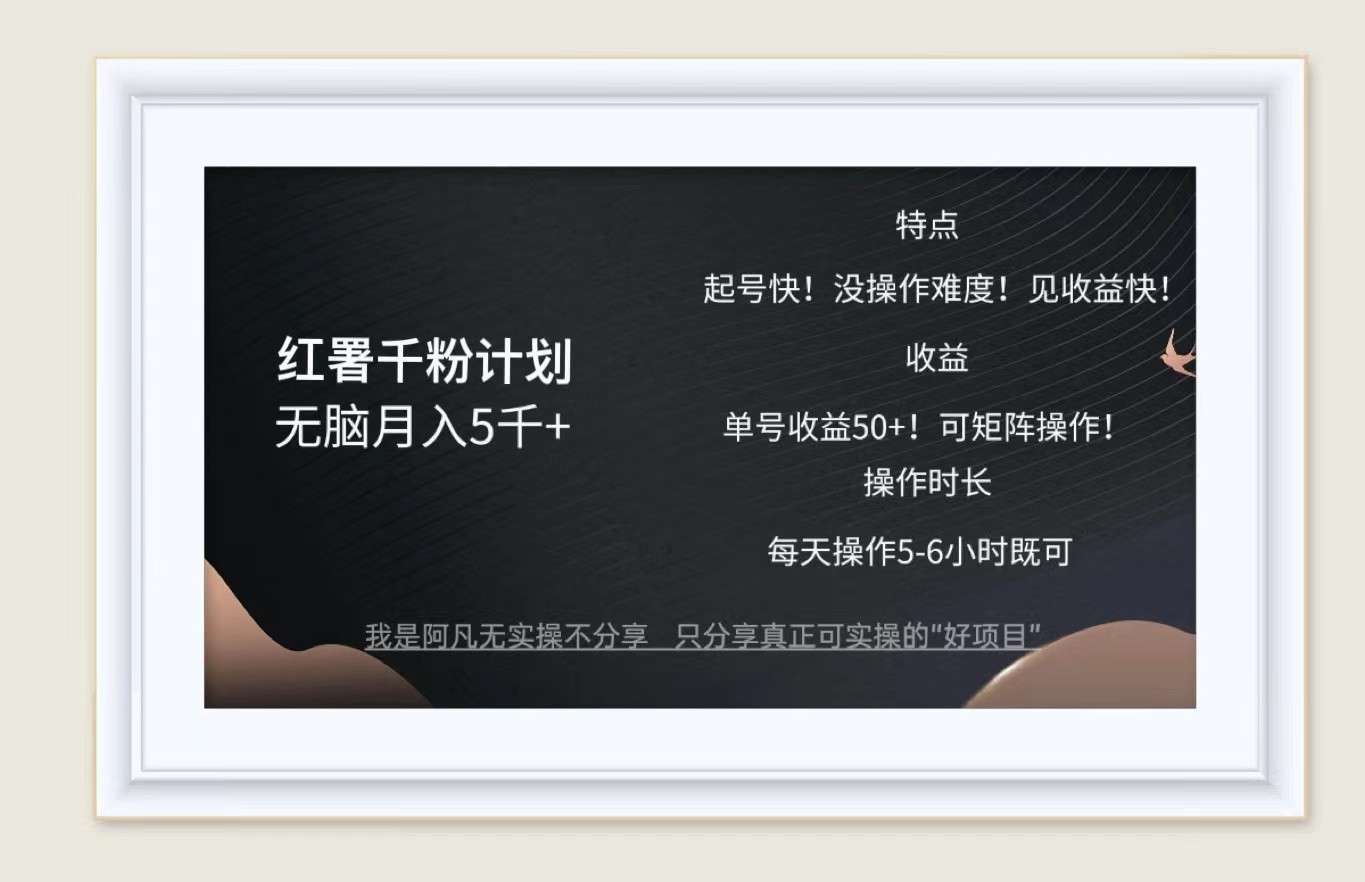 红薯千粉计划无脑月入5千+！既做既赚！-天韵资源网