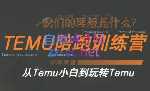 苗苗·拼多多跨境（temu）课程-天韵资源网