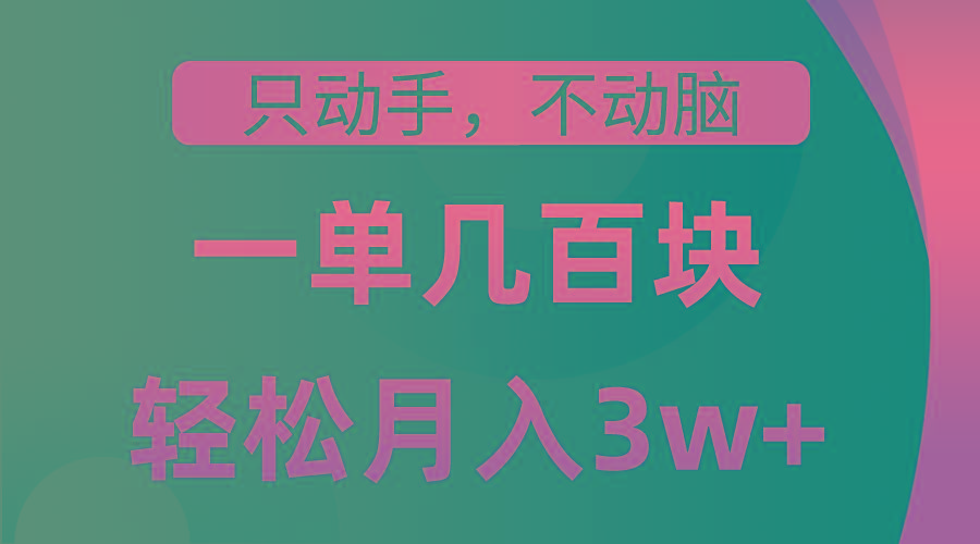 只动手不动脑，一单几百块，轻松月入3w+，看完就能直接操作，详细教程-天韵资源网