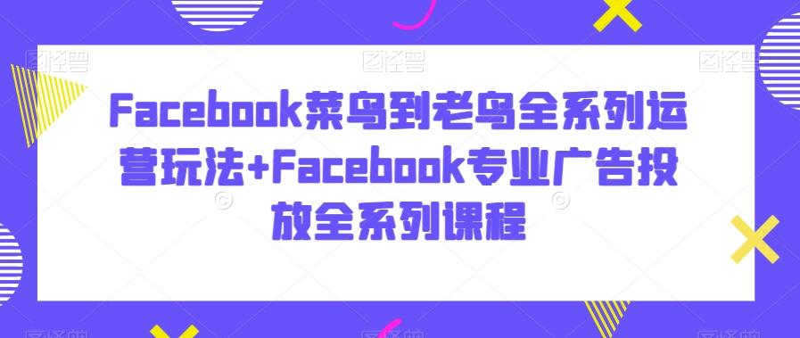 Facebook菜鸟到老鸟全系列运营玩法+Facebook专业广告投放全系列课程-天韵资源网