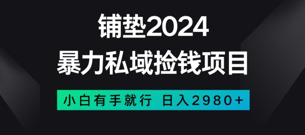 暴力私域捡钱项目，小白无脑操作，日入2980【揭秘】-天韵资源网