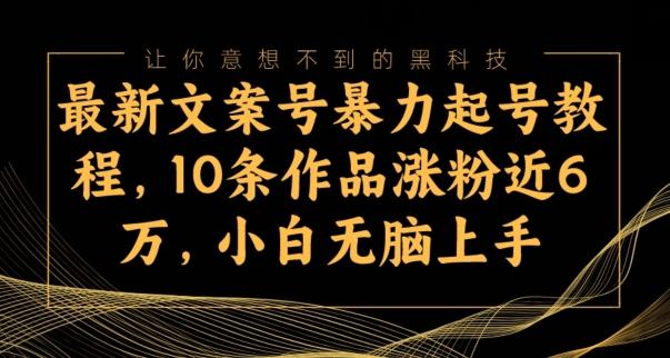 最新文案号暴力起号教程，10条作品涨粉近6万，小白无脑上手-天韵资源网