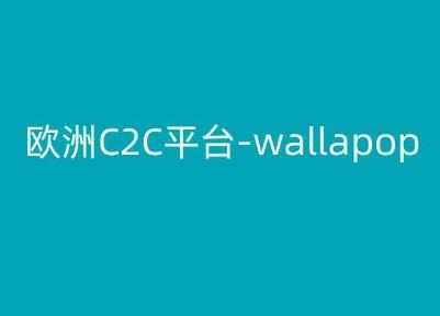 欧洲C2C平台-wallapop-kim跨境电商教程-天韵资源网