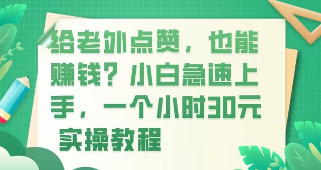 给老外点赞，也能赚钱？小白急速上手，实操教程-天韵资源网