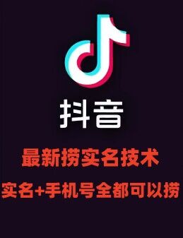 最新技术抖音捞实名+捞手机号技术，抖音直播封禁释放十名/手机号，直接替换出来!-天韵资源网