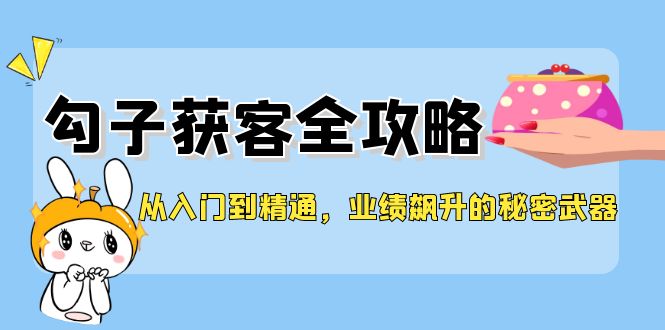 从入门到精通，勾子获客全攻略，业绩飙升的秘密武器-天韵资源网