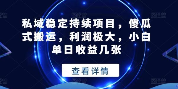 私域稳定持续项目，傻瓜式搬运，利润极大，小白单日收益几张【揭秘】-天韵资源网