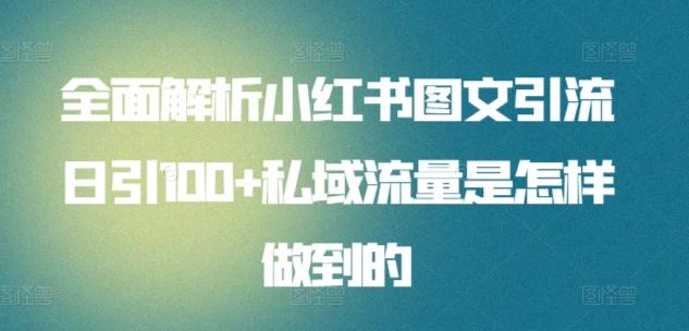 全面解析小红书图文引流日引100+私域流量是怎样做到的【揭秘】-天韵资源网