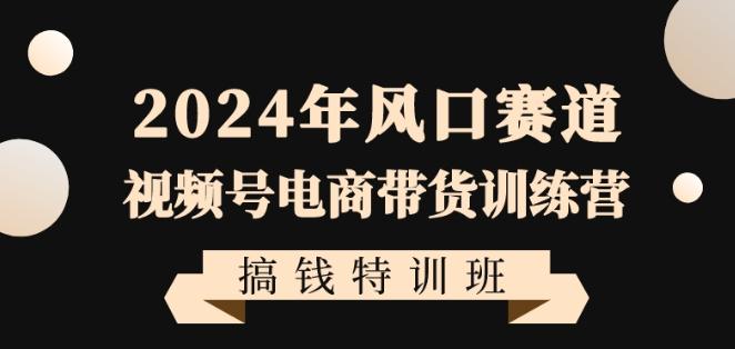 2024年风口赛道视频号电商带货训练营搞钱特训班，带领大家快速入局自媒体电商带货-天韵资源网