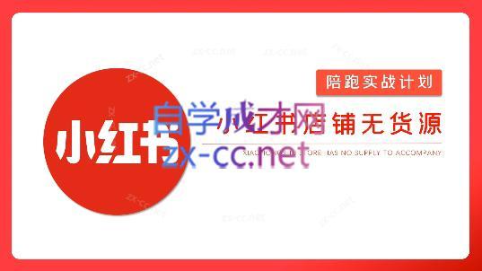 安琪·小红书店铺无货源-天韵资源网