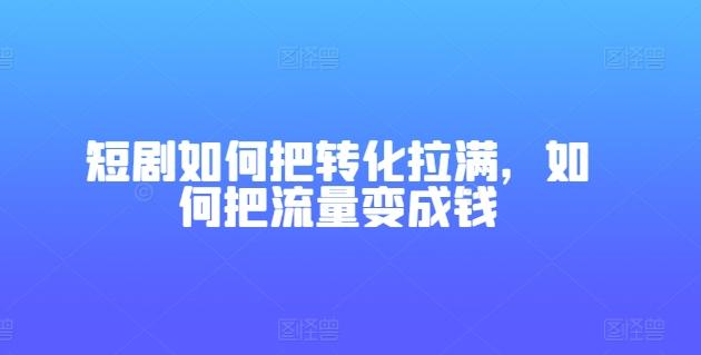 短剧如何把转化拉满，如何把流量变成钱-天韵资源网