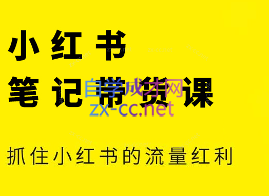 张宾·小红书笔记带货课(更新24年7月)-天韵资源网