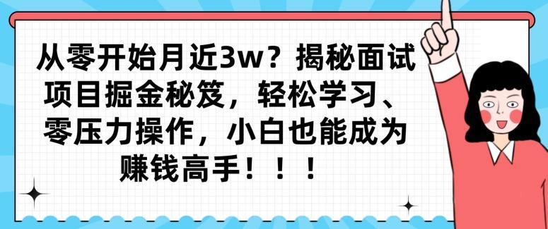 从零开始月近3w？揭秘面试项目掘金秘笈，轻松学习、零压力操作，小白也能成为赚钱高手-天韵资源网