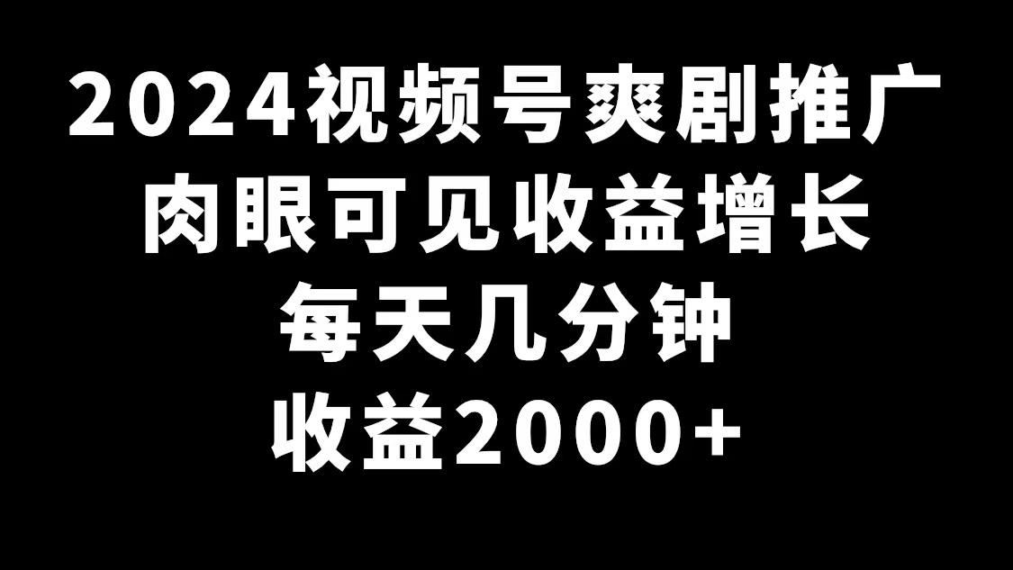 2024视频号爽剧推广，肉眼可见的收益增长，每天几分钟收益2000+-天韵资源网