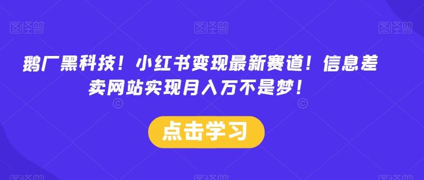 鹅厂黑科技！小红书变现最新赛道！信息差卖网站实现月入万不是梦！-天韵资源网