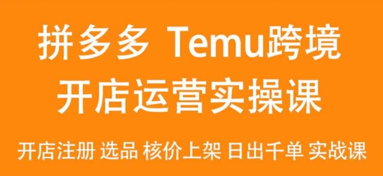 2024Temu最新玩法,Temu跨境开店运营实操课,开店注册/选品/核价上架/日出千单实战课-天韵资源网