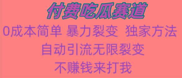 吃瓜付费赛道，暴力无限裂变，0成本，实测日入700+！！！-天韵资源网