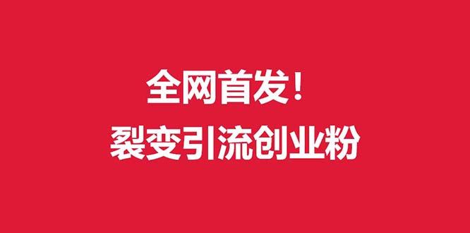 (全网首发)外面收费几千的裂变引流高质量创业粉-天韵资源网