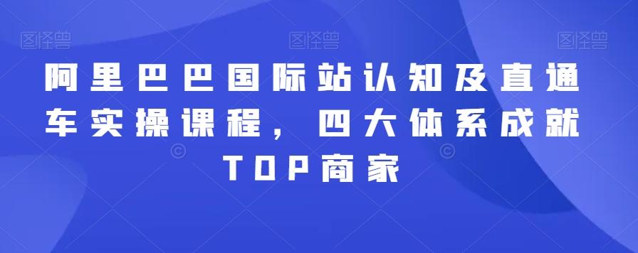 阿里巴巴国际站认知及直通车实操课程，四大体系成就TOP商家-天韵资源网