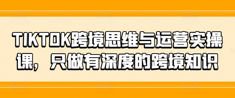 TIKTOK跨境思维与运营实操课，只做有深度的跨境知识-天韵资源网