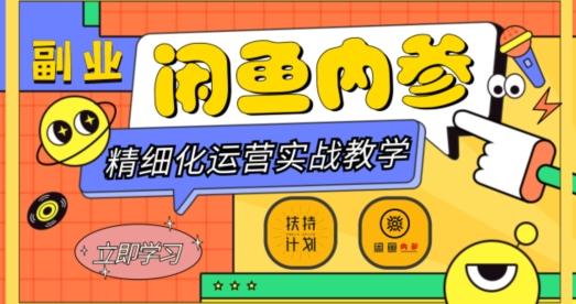 闲鱼精细化运营入门+高阶实战教学，从底层逻辑到轻松变现，多维度玩转闲鱼副业-天韵资源网