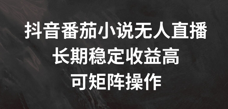 抖音番茄小说无人直播，长期稳定收益高，可矩阵操作【揭秘】-天韵资源网