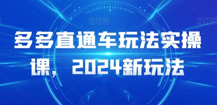 多多直通车玩法实操课，2024新玩法-天韵资源网