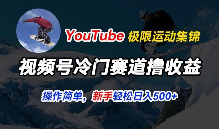 视频号冷门赛道撸收益，YouTube搬运极限运动集锦，暴力起号，操作简单流量高，轻松日入5张【揭秘】-天韵资源网