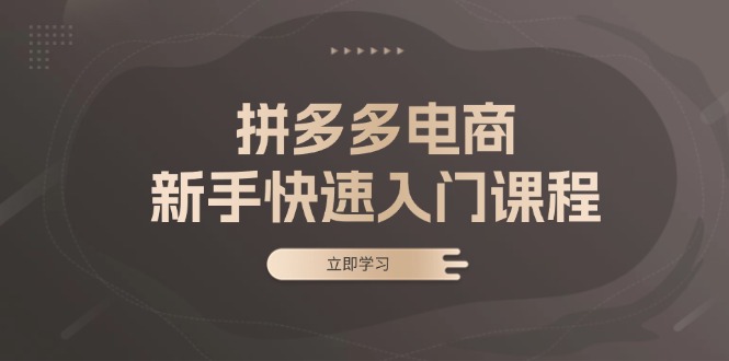 拼多多电商新手快速入门课程：涵盖基础、实战与选款，助力小白轻松上手-天韵资源网