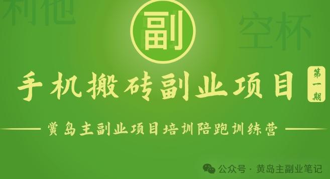 手机搬砖小副业项目训练营1.0，实测1小时收益50+，一部手机轻松日入100+-天韵资源网