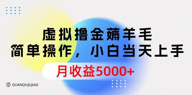 (9864期)虚拟撸金薅羊毛，简单操作，小白当天上手，月收益5000+-天韵资源网