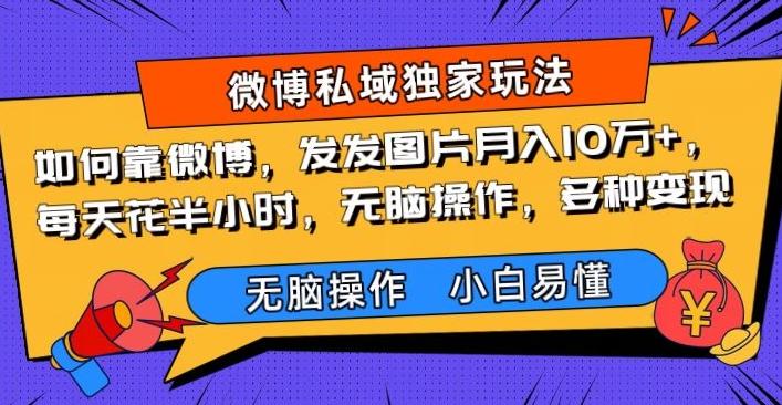 如何靠微博，发发图片月入10万+，‌每天花半小时，无脑操作，多种变现-天韵资源网