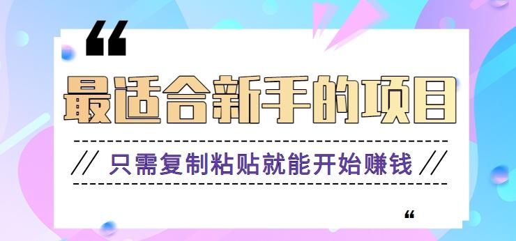 2024最适合新手操作的项目，新手小白只需复制粘贴就能开始赚钱【视频教程+软件】-天韵资源网