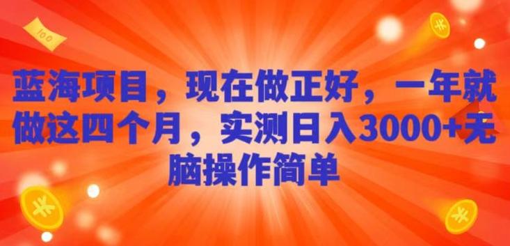 蓝海项目，现在做正好，一年就做这4个月，实测日入3000+，无脑简单操作-天韵资源网