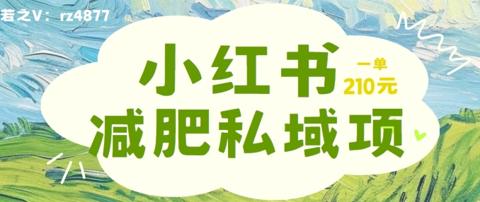 小红书减肥粉，私域变现项目，一单就达210元，小白也能轻松上手【揭秘】-天韵资源网