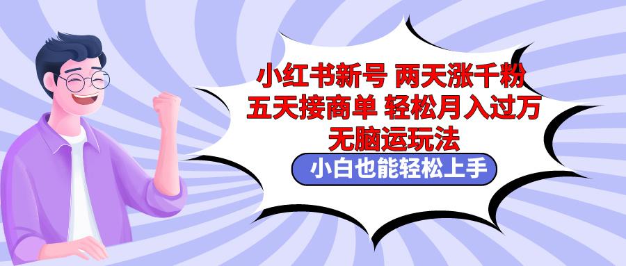 小红书新号两天涨千粉五天接商单轻松月入过万 无脑搬运玩法 小白也能轻…-天韵资源网