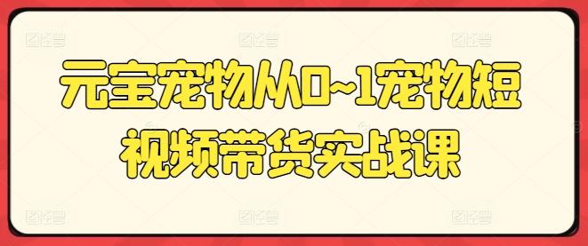 元宝宠物从0~1宠物短视频带货实战课-天韵资源网
