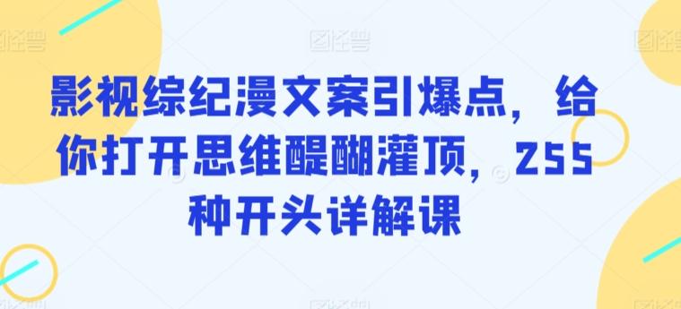 影视综纪漫文案引爆点，给你打开思维醍醐灌顶，255种开头详解课-天韵资源网